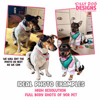 Promotional graphic for pet portrait services showing three photos of a small dog wearing a pink collar and colorful outfits, with text reading 'IDEAL PHOTO EXAMPLES' and 'HIGH RESOLUTION FULL BODY SHOTS OF YOR PET.' The 'SILLY DOG DESIGNS' logo appears in the top right.